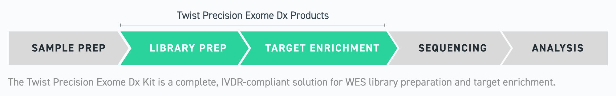 Twist Precision Dx Workflow Workflow progressing from sample prep to library prep, target enrichment, sequencing, and analysis. The phases for library prep and target enrichment are highlighted, indicating that's where Twist Precision Dx products apply.
