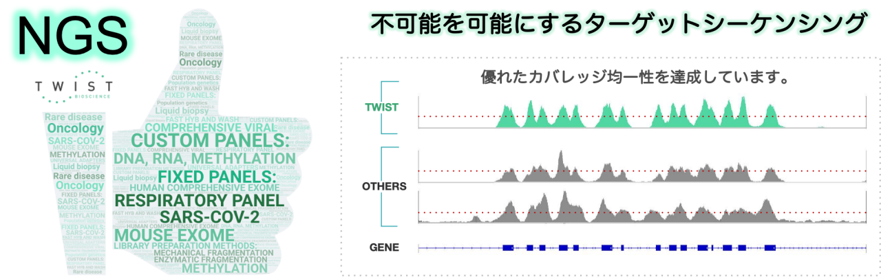 ハイブリ、キャプチャ、試薬、次世代、シーケンス、シーケンシング、NGS、Exome、エクソーム、カスタムパネル、SNP、CNV、ミトコンドリア、メチローム、ターゲット、メチル化、サービスプロバイダ、Exome Sequencing Methylome Target methylation Target capture service provider、エンリッチメント、タンパク質コード領域、非コード領域、ヒトゲノム、エクソン、エクソーム用パネル、コーディング、領域、CCDS、RefSeq、GENCODE、Clinvar、SNV、ACMG73、SMAD4、TP53、PTEN 5、FGFR2、SNP、TERT、CFTR、Comprehensive Viralパネル、SARS-CoV-2、感染症、HLA、PGx、long read、ロングリード、96-Plex、FlexPrep、MRD、cfDNA、ctDNA